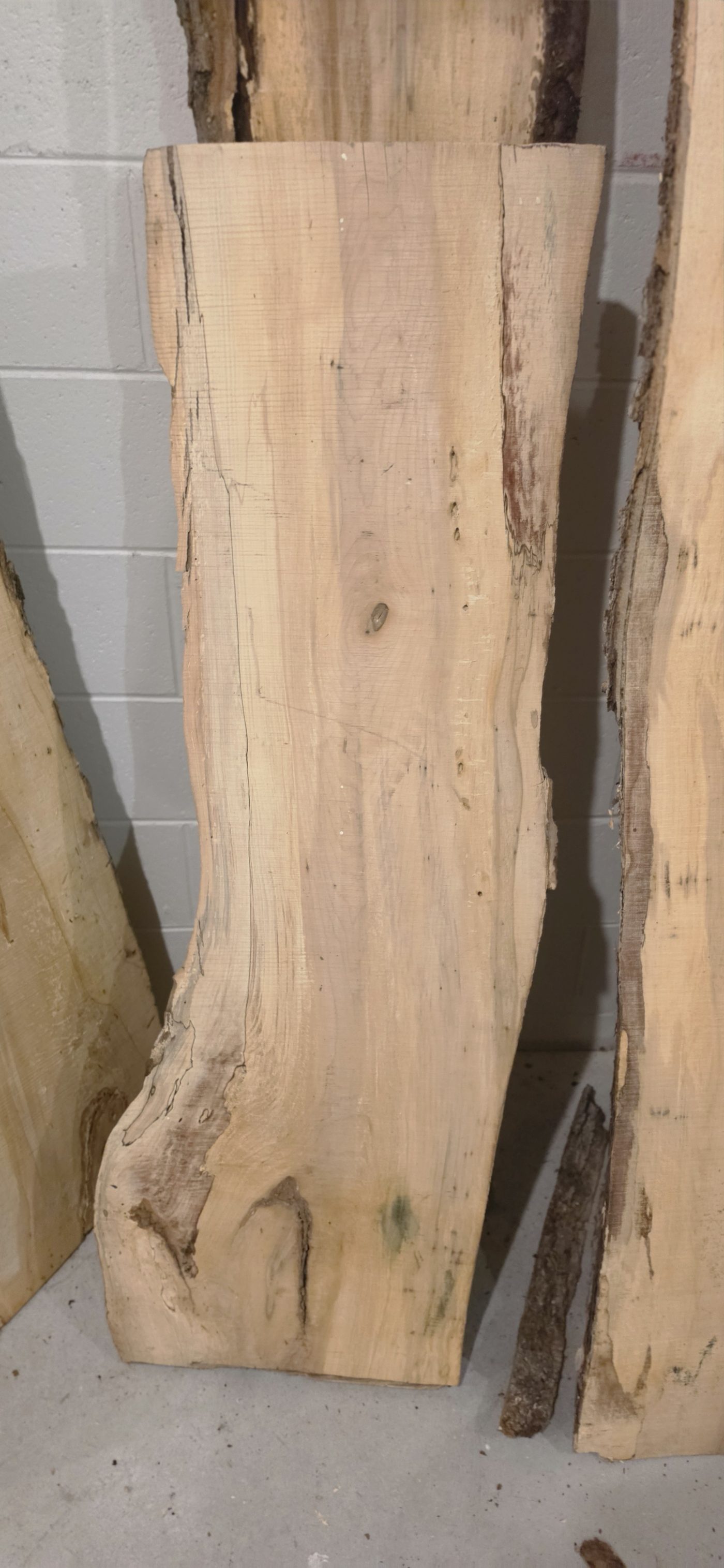 55" × 17" × 2" Live Edge Spalted Maple Studio Slab