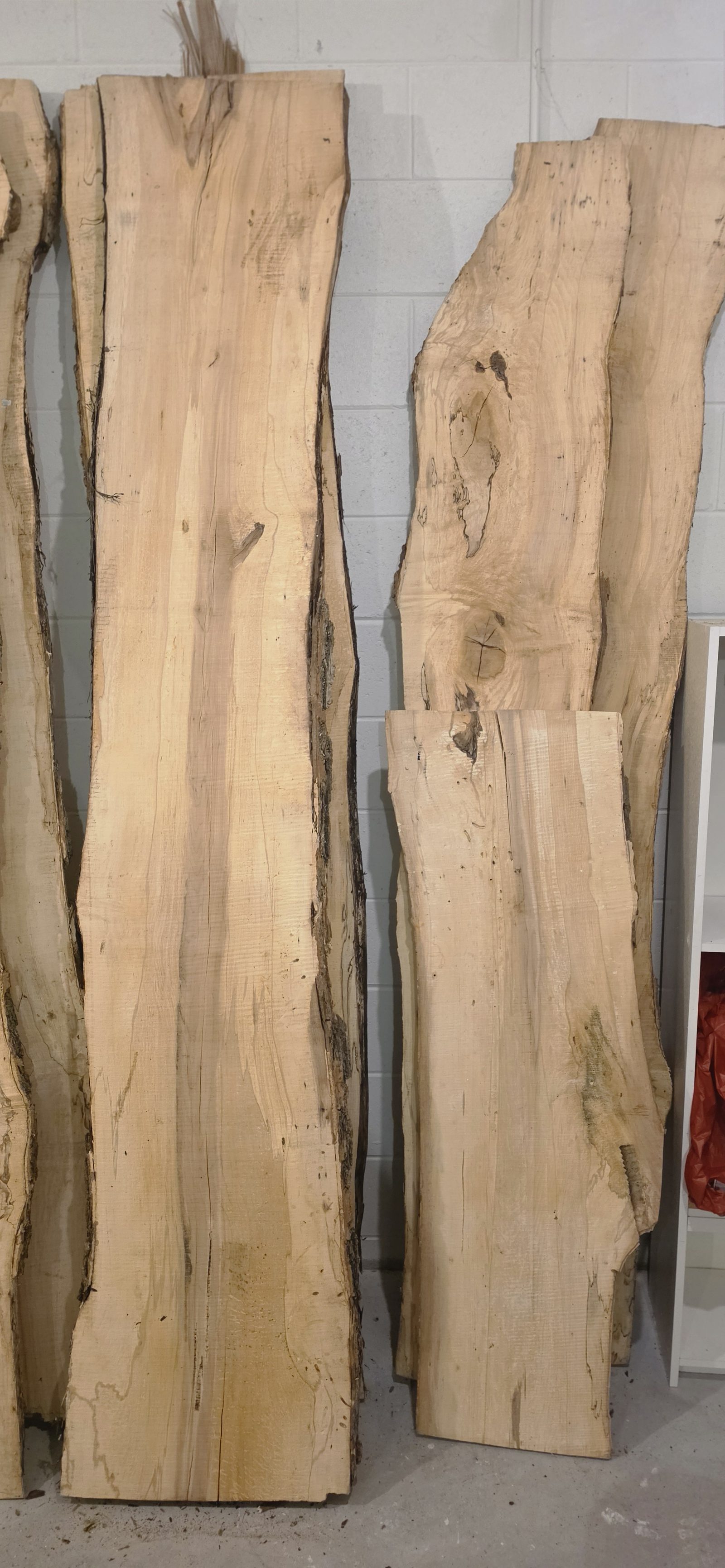 98" × 19" × 1" Live Edge Spalted Maple Slab